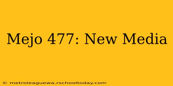 Mejo 477: New Media