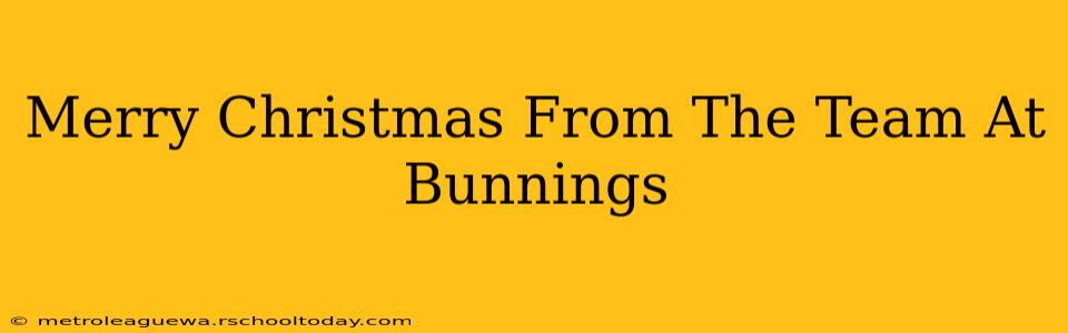 Merry Christmas From The Team At Bunnings