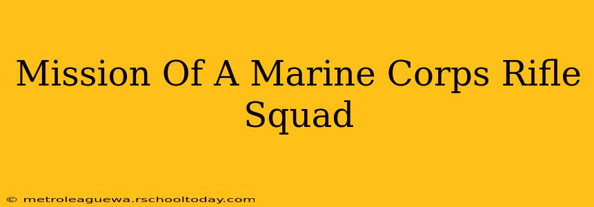 Mission Of A Marine Corps Rifle Squad