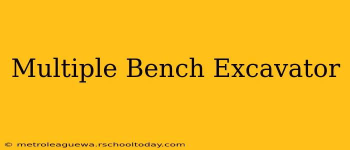 Multiple Bench Excavator