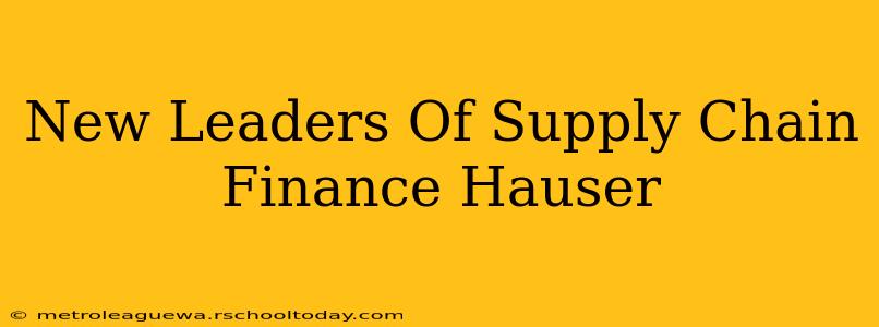 New Leaders Of Supply Chain Finance Hauser