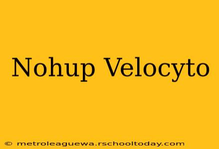 Nohup Velocyto