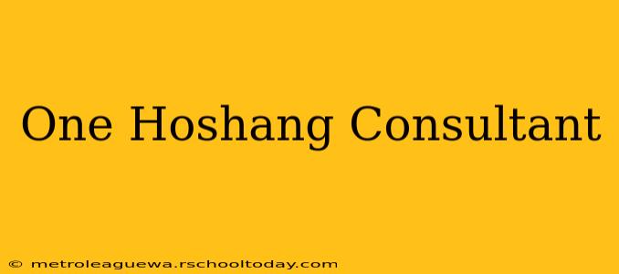 One Hoshang Consultant