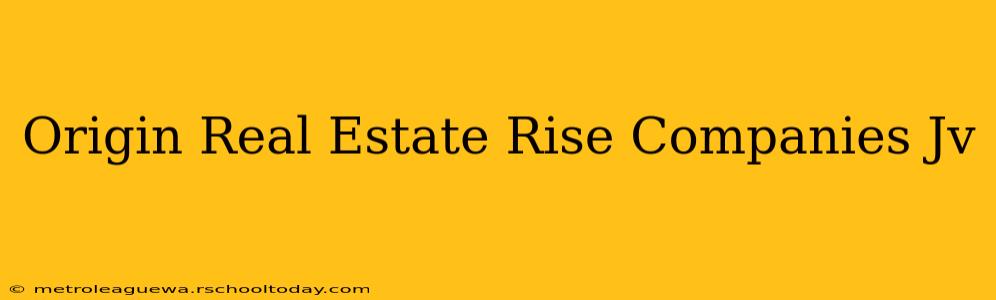 Origin Real Estate Rise Companies Jv