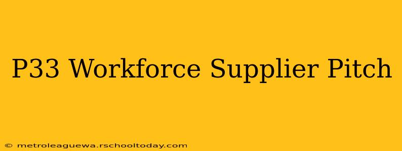 P33 Workforce Supplier Pitch