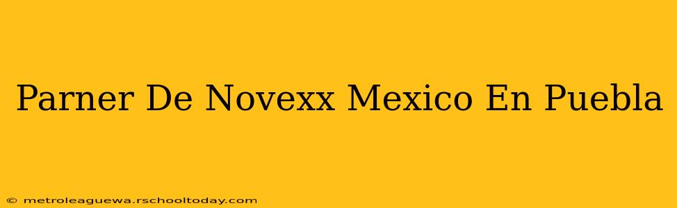 Parner De Novexx Mexico En Puebla