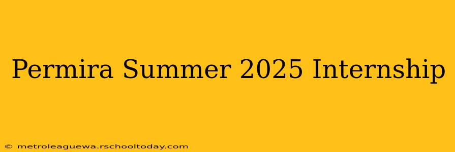 Permira Summer 2025 Internship