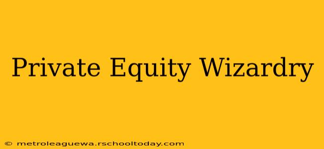 Private Equity Wizardry