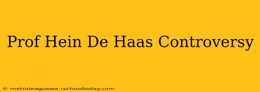 Prof Hein De Haas Controversy