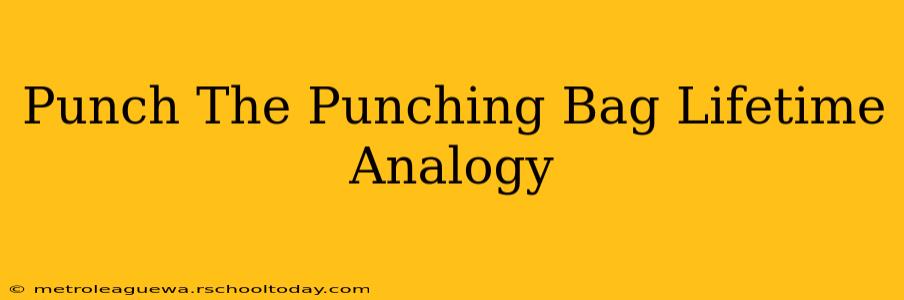 Punch The Punching Bag Lifetime Analogy