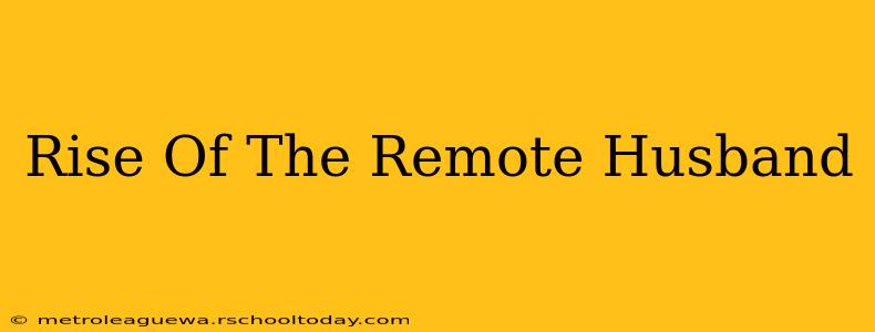 Rise Of The Remote Husband