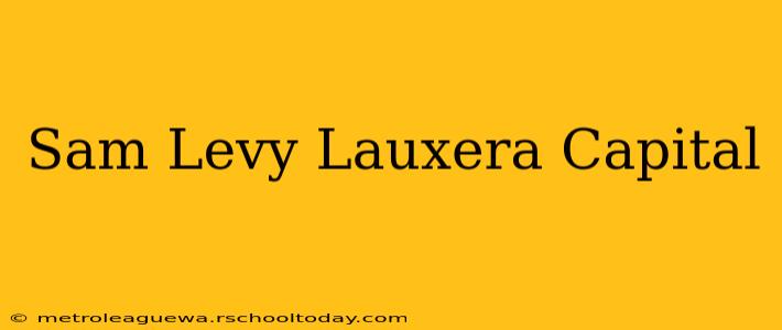 Sam Levy Lauxera Capital