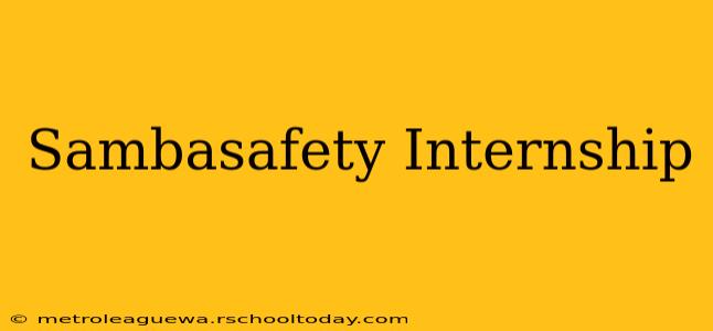 Sambasafety Internship