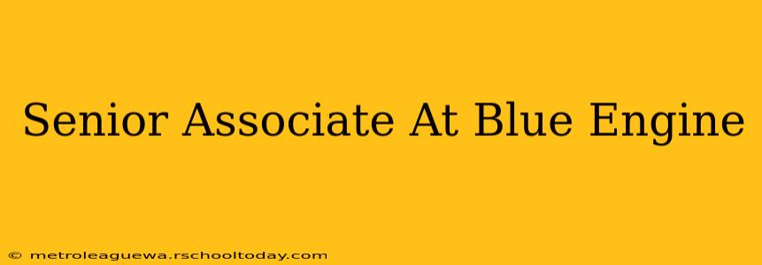 Senior Associate At Blue Engine