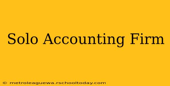 Solo Accounting Firm