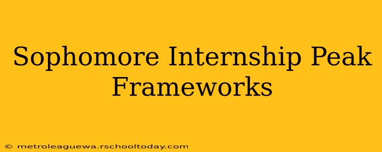 Sophomore Internship Peak Frameworks