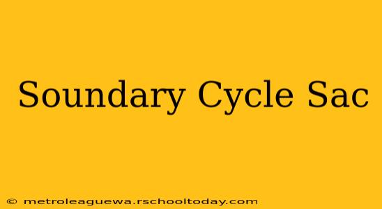 Soundary Cycle Sac