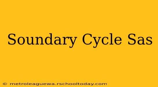 Soundary Cycle Sas