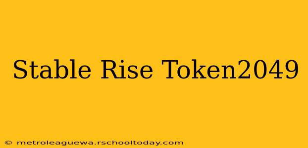 Stable Rise Token2049