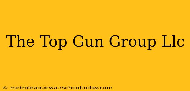 The Top Gun Group Llc