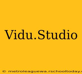 Vidu.Studio