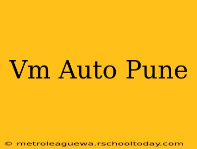 Vm Auto Pune