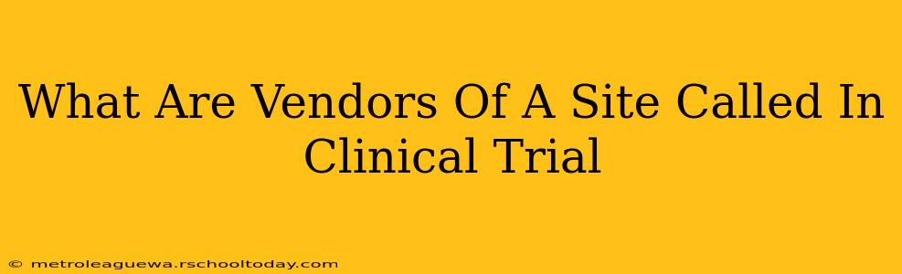 What Are Vendors Of A Site Called In Clinical Trial