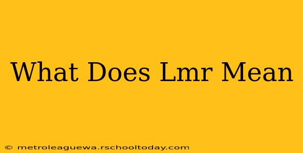 What Does Lmr Mean