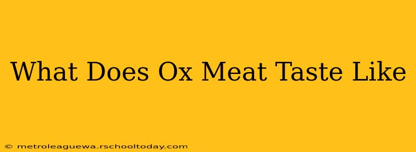 What Does Ox Meat Taste Like