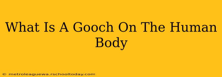 What Is A Gooch On The Human Body