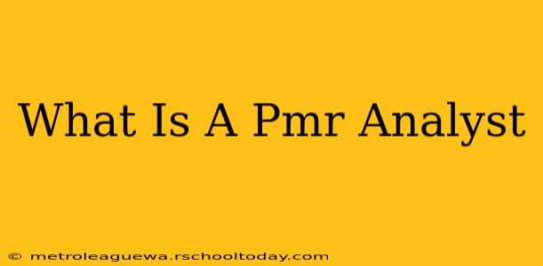 What Is A Pmr Analyst