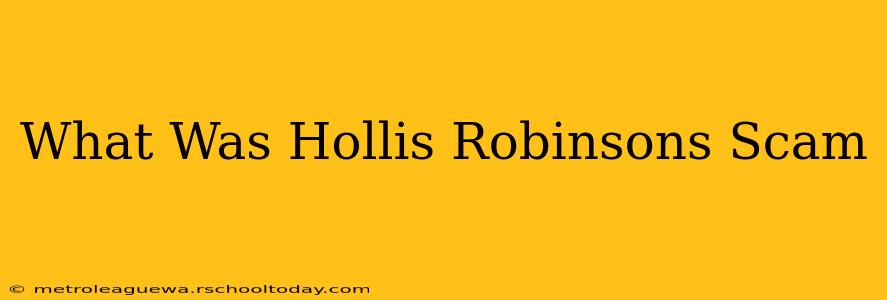 What Was Hollis Robinsons Scam