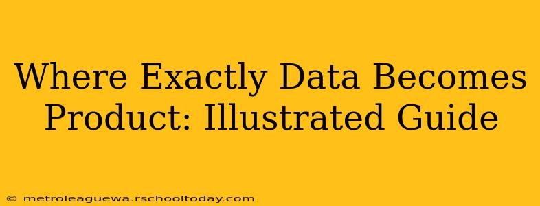 Where Exactly Data Becomes Product: Illustrated Guide