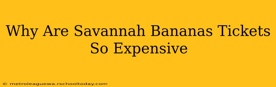 Why Are Savannah Bananas Tickets So Expensive