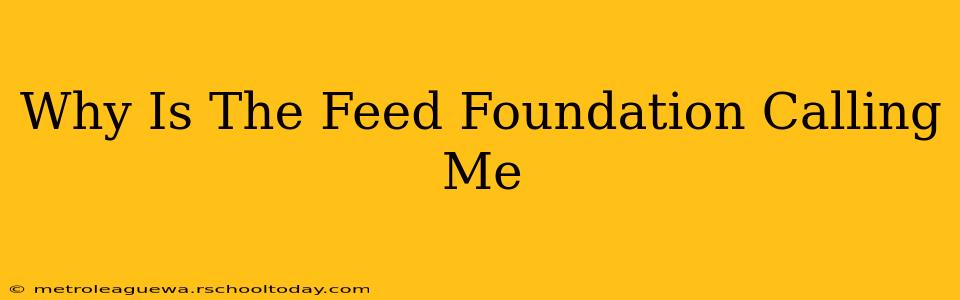 Why Is The Feed Foundation Calling Me