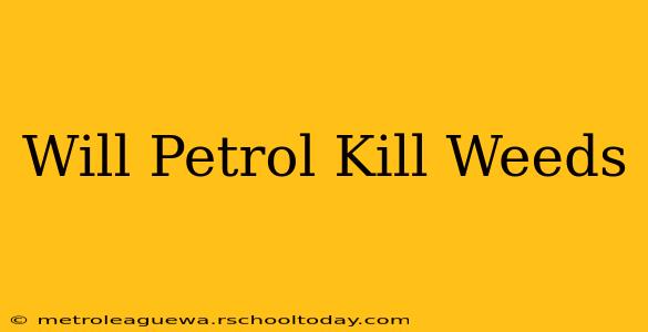 Will Petrol Kill Weeds