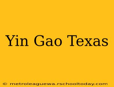 Yin Gao Texas