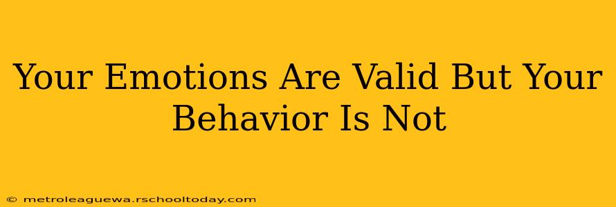 Your Emotions Are Valid But Your Behavior Is Not